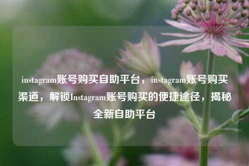instagram账号购买自助平台，instagram账号购买渠道，解锁Instagram账号购买的便捷途径，揭秘全新自助平台