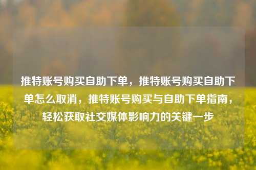 推特账号购买自助下单，推特账号购买自助下单怎么取消，推特账号购买与自助下单指南，轻松获取社交媒体影响力的关键一步