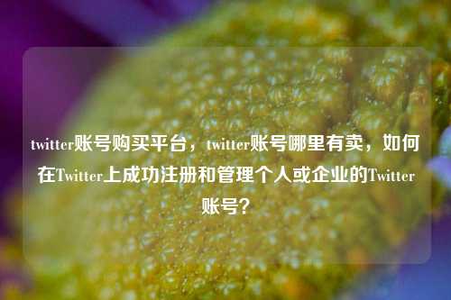 twitter账号购买平台，twitter账号哪里有卖，如何在Twitter上成功注册和管理个人或企业的Twitter账号？