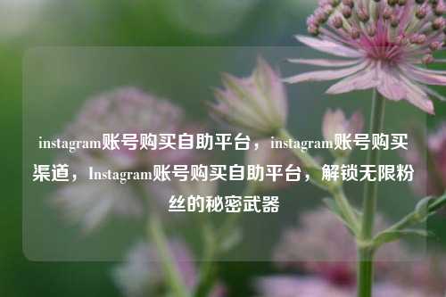 instagram账号购买自助平台，instagram账号购买渠道，Instagram账号购买自助平台，解锁无限粉丝的秘密武器
