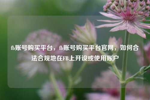 fb账号购买平台，fb账号购买平台官网，如何合法合规地在FB上开设或使用账户