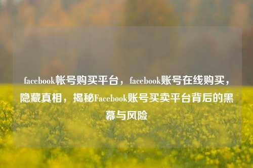 facebook帐号购买平台，facebook账号在线购买，隐藏真相，揭秘Facebook账号买卖平台背后的黑幕与风险
