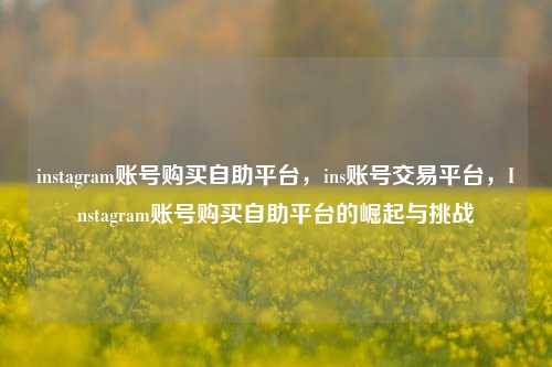 instagram账号购买自助平台，ins账号交易平台，Instagram账号购买自助平台的崛起与挑战