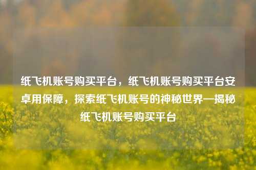 纸飞机账号购买平台，纸飞机账号购买平台安卓用保障，探索纸飞机账号的神秘世界—揭秘纸飞机账号购买平台