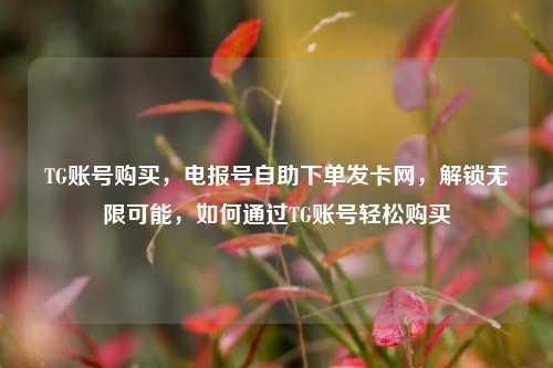 TG账号购买，电报号自助下单发卡网，解锁无限可能，如何通过TG账号轻松购买