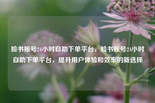 脸书账号24小时自助下单平台，脸书账号24小时自助下单平台，提升用户体验和效率的新选择