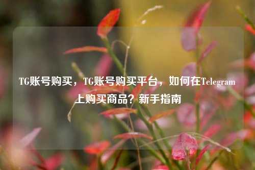 TG账号购买，TG账号购买平台，如何在Telegram上购买商品？新手指南