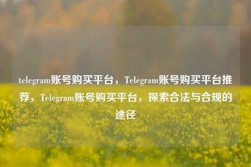telegram账号购买平台，Telegram账号购买平台推荐，Telegram账号购买平台，探索合法与合规的途径