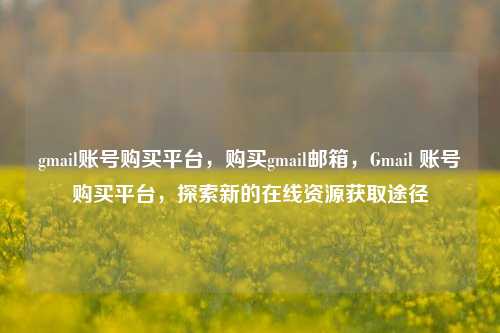 gmail账号购买平台，购买gmail邮箱，Gmail 账号购买平台，探索新的在线资源获取途径