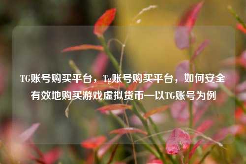TG账号购买平台，Tg账号购买平台，如何安全有效地购买游戏虚拟货币—以TG账号为例