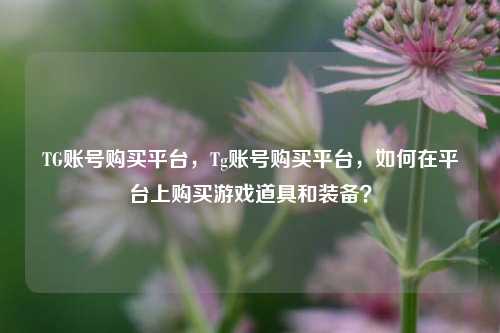 TG账号购买平台，Tg账号购买平台，如何在平台上购买游戏道具和装备？