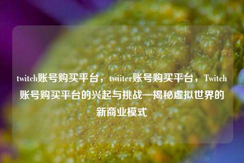 twitch账号购买平台，twiiter账号购买平台，Twitch账号购买平台的兴起与挑战—揭秘虚拟世界的新商业模式