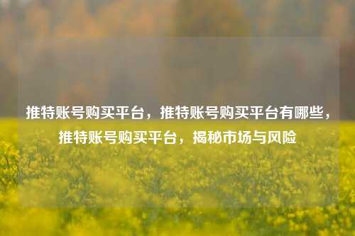 推特账号购买平台，推特账号购买平台有哪些，推特账号购买平台，揭秘市场与风险