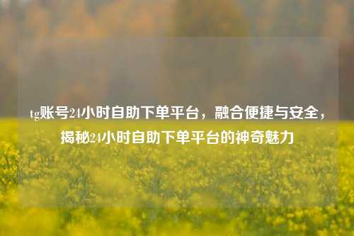 tg账号24小时自助下单平台，融合便捷与安全，揭秘24小时自助下单平台的神奇魅力
