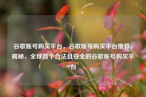 谷歌账号购买平台，谷歌账号购买平台推荐，揭秘，全球首个合法且安全的谷歌账号购买平台