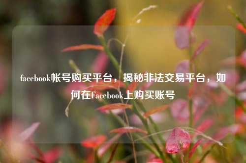 facebook帐号购买平台，揭秘非法交易平台，如何在Facebook上购买账号