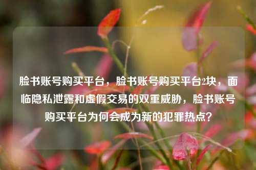 脸书账号购买平台，脸书账号购买平台2块，面临隐私泄露和虚假交易的双重威胁，脸书账号购买平台为何会成为新的犯罪热点？