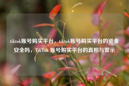 tiktok账号购买平台，tiktok账号购买平台的资金安全吗，TikTok 账号购买平台的真相与警示