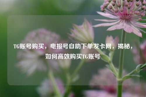 TG账号购买，电报号自助下单发卡网，揭秘，如何高效购买TG账号
