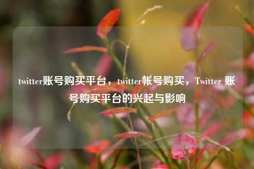 twitter账号购买平台，twitter帐号购买，Twitter 账号购买平台的兴起与影响