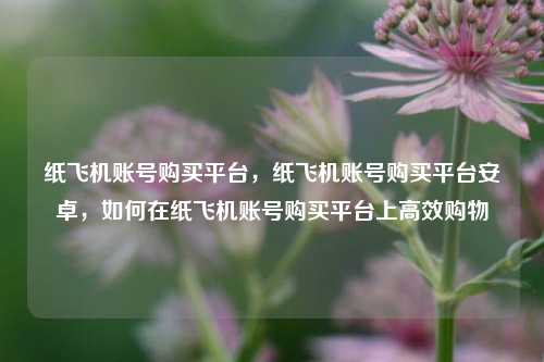 纸飞机账号购买平台，纸飞机账号购买平台安卓，如何在纸飞机账号购买平台上高效购物
