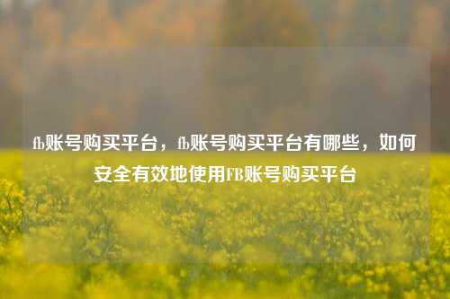 fb账号购买平台，fb账号购买平台有哪些	，如何安全有效地使用FB账号购买平台  第1张