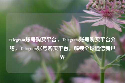 telegram账号购买平台，Telegram账号购买平台介绍，Telegram账号购买平台，解锁全球通信新世界
