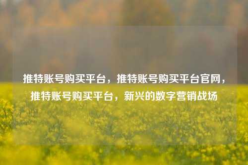 推特账号购买平台，推特账号购买平台官网，推特账号购买平台，新兴的数字营销战场