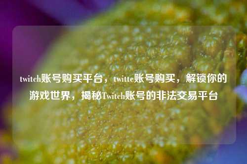 twitch账号购买平台，twitte账号购买，解锁你的游戏世界，揭秘Twitch账号的非法交易平台