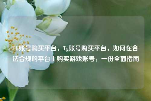 TG账号购买平台，Tg账号购买平台，如何在合法合规的平台上购买游戏账号，一份全面指南