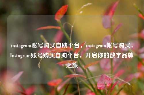 instagram账号购买自助平台，instagram帐号购买，Instagram账号购买自助平台，开启你的数字品牌之旅