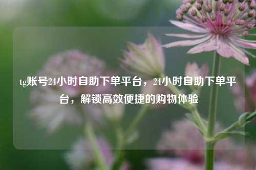 tg账号24小时自助下单平台，24小时自助下单平台，解锁高效便捷的购物体验