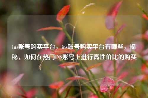 ins账号购买平台，ins账号购买平台有哪些，揭秘，如何在热门INS账号上进行高性价比的购买