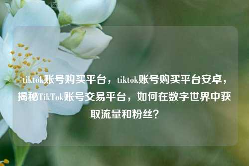 tiktok账号购买平台，tiktok账号购买平台安卓，揭秘TikTok账号交易平台，如何在数字世界中获取流量和粉丝？
