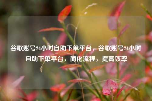 谷歌账号24小时自助下单平台，谷歌账号24小时自助下单平台	，简化流程，提高效率  第1张