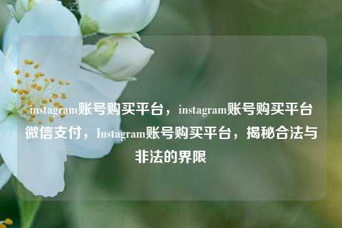 instagram账号购买平台，instagram账号购买平台微信支付，Instagram账号购买平台，揭秘合法与非法的界限