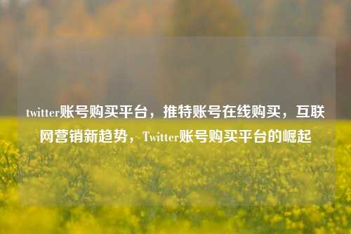 twitter账号购买平台，推特账号在线购买，互联网营销新趋势，Twitter账号购买平台的崛起