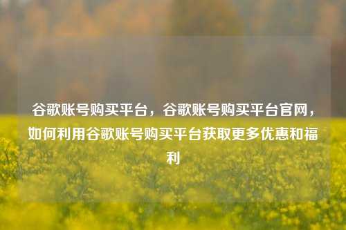 谷歌账号购买平台，谷歌账号购买平台官网，如何利用谷歌账号购买平台获取更多优惠和福利