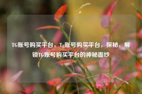TG账号购买平台，Tg账号购买平台，探秘，解锁TG账号购买平台的神秘面纱