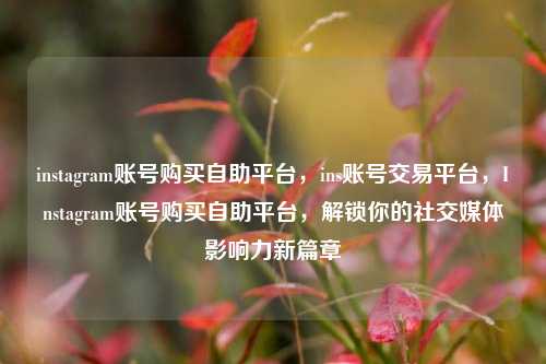 instagram账号购买自助平台，ins账号交易平台，Instagram账号购买自助平台，解锁你的社交媒体影响力新篇章