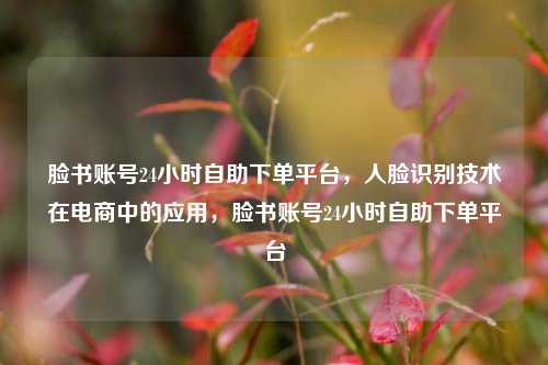 脸书账号24小时自助下单平台，人脸识别技术在电商中的应用，脸书账号24小时自助下单平台
