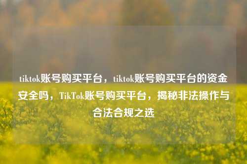 tiktok账号购买平台，tiktok账号购买平台的资金安全吗，TikTok账号购买平台，揭秘非法操作与合法合规之选