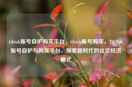 tiktok账号自护购买平台，tiktok帐号购买，TikTok账号自护与购买平台，探索新时代的社交经济模式
