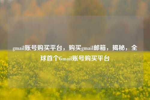 gmail账号购买平台，购买gmail邮箱，揭秘，全球首个Gmail账号购买平台