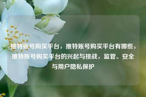 推特账号购买平台，推特账号购买平台有哪些，推特账号购买平台的兴起与挑战，监管、安全与用户隐私保护