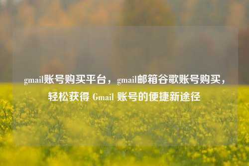 gmail账号购买平台，gmail邮箱谷歌账号购买，轻松获得 Gmail 账号的便捷新途径