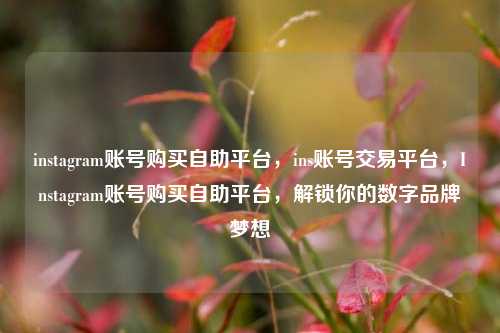 instagram账号购买自助平台，ins账号交易平台，Instagram账号购买自助平台，解锁你的数字品牌梦想