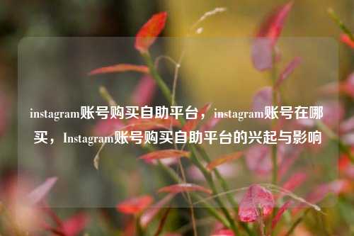 instagram账号购买自助平台，instagram账号在哪买，Instagram账号购买自助平台的兴起与影响