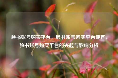 脸书账号购买平台，脸书账号购买平台便宜，脸书账号购买平台的兴起与影响分析
