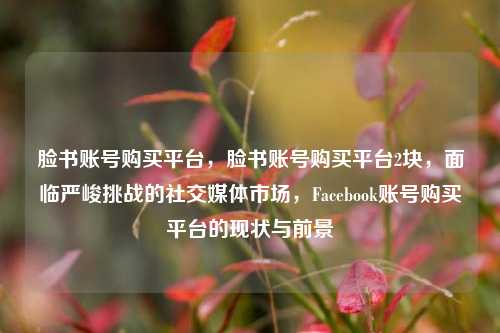 脸书账号购买平台，脸书账号购买平台2块，面临严峻挑战的社交媒体市场，Facebook账号购买平台的现状与前景